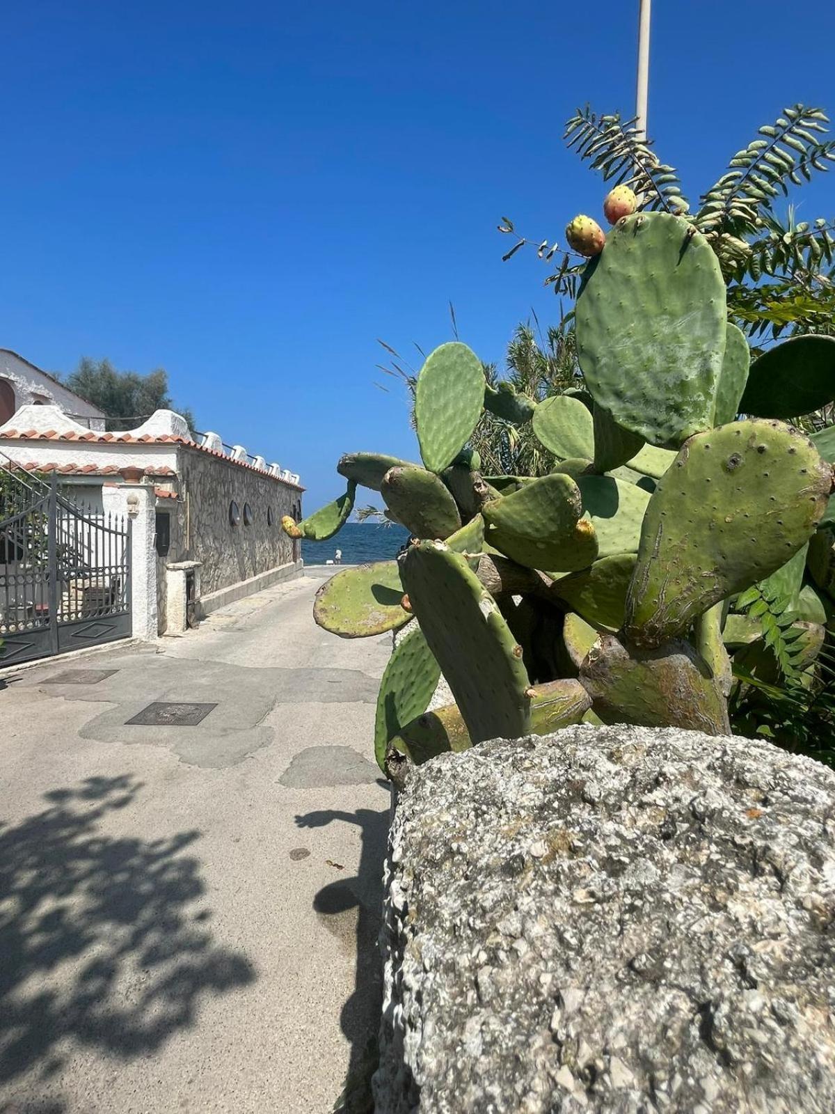 La Villetta Sul Mare Bari Exteriör bild